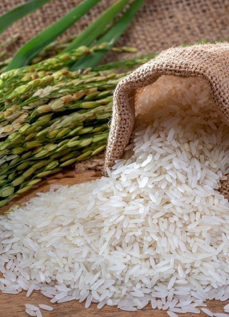 Rice